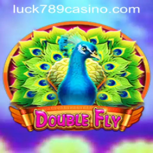 Exploring the Thrills of DoubleFly: A Journey Through Gameplay and Strategy